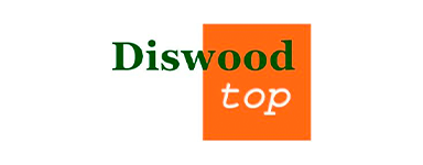 DISWOOD TOP 1 LAMA